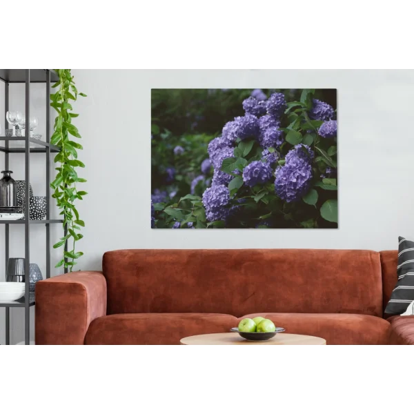 boutiqued pas cher MuchoWow Tableau Sur Toile Obscurité Autour D’un Hortensia Dans Un Jardin Deco… 4