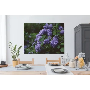 boutiqued pas cher MuchoWow Tableau Sur Toile Obscurité Autour D’un Hortensia Dans Un Jardin Deco… 13