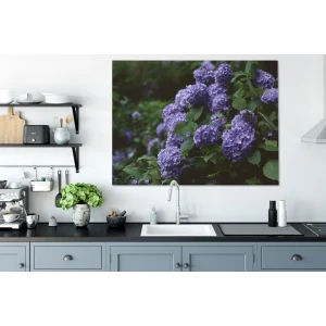 boutiqued pas cher MuchoWow Tableau Sur Toile Obscurité Autour D’un Hortensia Dans Un Jardin Deco… 15