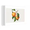 Retour Facile et Gratuit MuchoWow Tableau Sur Toile Orange – Feuille – Plante Decoration Murale 90×60 Cm 19