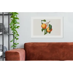 Retour Facile et Gratuit MuchoWow Tableau Sur Toile Orange – Feuille – Plante Decoration Murale 90×60 Cm 9