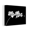 magasin pas cher MuchoWow Tableau Sur Toile Orchidée Sur Fond Noir – Noir Et Blanc Decoration M… 11