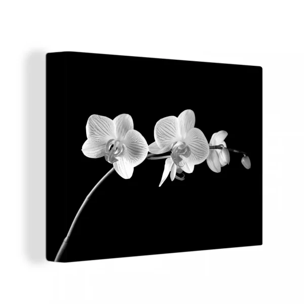 vente luxe pas cher MuchoWow Tableau Sur Toile Orchidée Sur Fond Noir – Noir Et Blanc Decoration M… 1