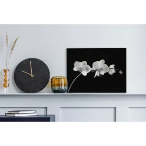 magasin pas cher MuchoWow Tableau Sur Toile Orchidée Sur Fond Noir – Noir Et Blanc Decoration M… 9