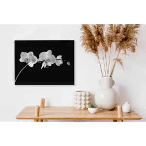 magasin pas cher MuchoWow Tableau Sur Toile Orchidée Sur Fond Noir – Noir Et Blanc Decoration M… 11