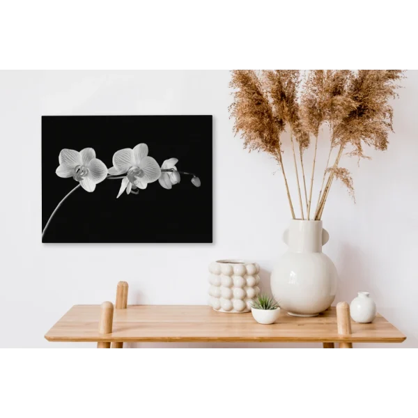 vente luxe pas cher MuchoWow Tableau Sur Toile Orchidée Sur Fond Noir – Noir Et Blanc Decoration M… 4