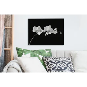 vente luxe pas cher MuchoWow Tableau Sur Toile Orchidée Sur Fond Noir – Noir Et Blanc Decoration M… 13