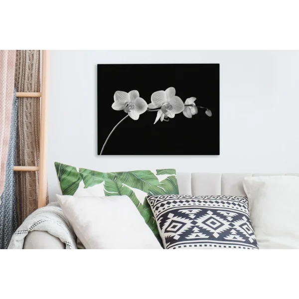 vente luxe pas cher MuchoWow Tableau Sur Toile Orchidée Sur Fond Noir – Noir Et Blanc Decoration M… 5