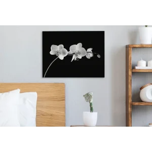 vente luxe pas cher MuchoWow Tableau Sur Toile Orchidée Sur Fond Noir – Noir Et Blanc Decoration M… 15