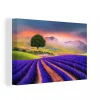 MuchoWow Tableau Sur Toile Peinture D’un Champ De Lavande Decoration Murale 30x… en solde 19