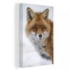 à prix promos MuchoWow Tableau Sur Toile Renard – Portrait – Neige Decoration Murale 40×60 Cm 13