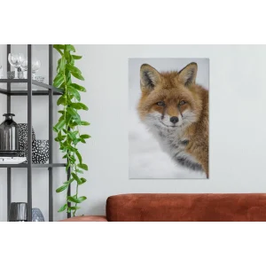 à prix promos MuchoWow Tableau Sur Toile Renard – Portrait – Neige Decoration Murale 40×60 Cm 9