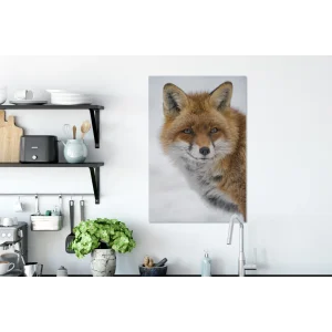 à prix promos MuchoWow Tableau Sur Toile Renard – Portrait – Neige Decoration Murale 40×60 Cm 11