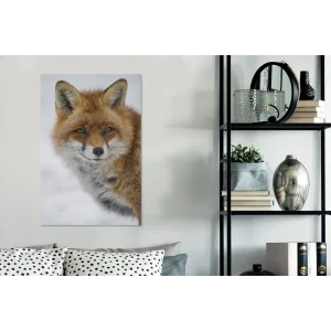 à prix promos MuchoWow Tableau Sur Toile Renard – Portrait – Neige Decoration Murale 40×60 Cm 13