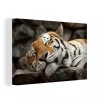 livraison la plus rapide MuchoWow Tableau Sur Toile Tigre – Se Reposant – Roches Decoration Murale 90×60… 5